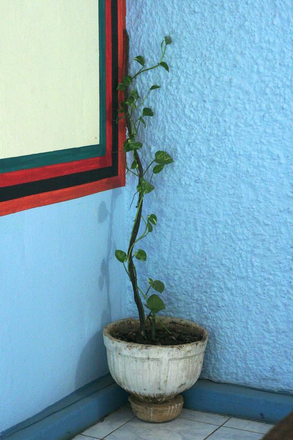 Kumunzi Backpackers Hostel ลุซากา ภายนอก รูปภาพ